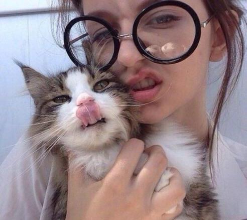 家里养猫好不好-养猫是好还是不好
