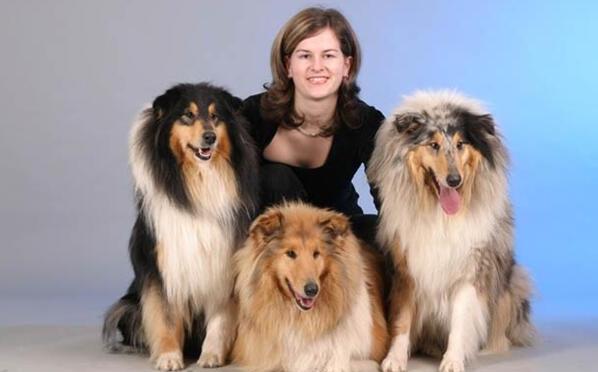 纯种苏格兰牧羊犬-苏格兰牧羊犬能活多少岁 纯种苏格兰牧羊犬-苏格兰牧羊犬能活多少岁