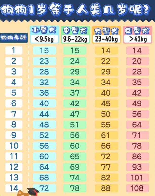 狗狗年龄对照表-狗狗年龄怎么算