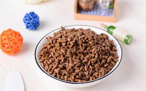 狗狗不吃东西咋办有哪些方法-狗狗不吃食物没精打采怎么办