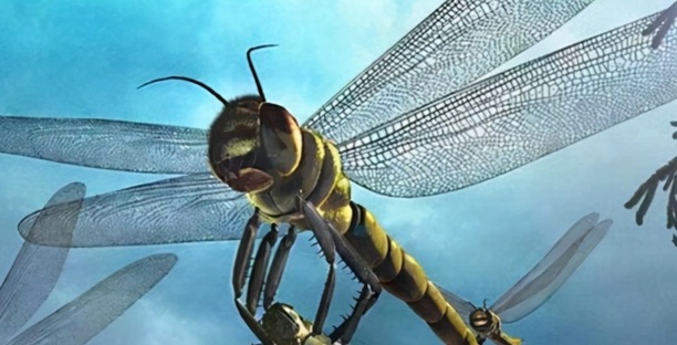 世界上最大的虫子-2021年世界上最大的虫子