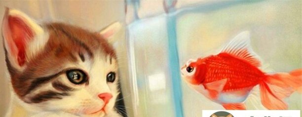 小猫吃鱼会被鱼刺卡吗-猫吃鱼会卡刺吗