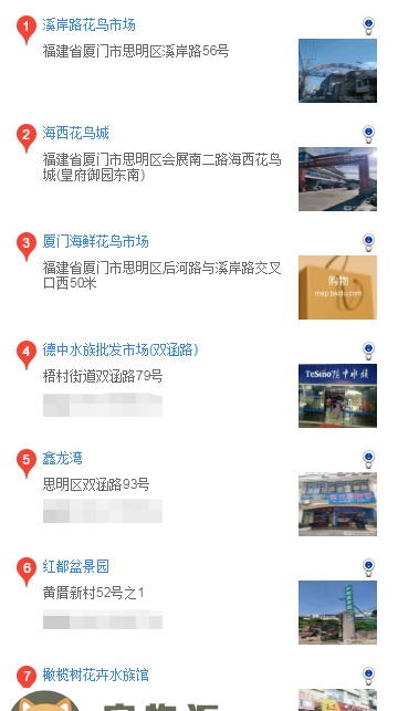 厦门什么地方买柴犬