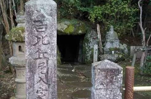 美人鱼和鲛人的区别-儒艮是不是已经灭绝 美人鱼和鲛人的区别-儒艮是不是已经灭绝