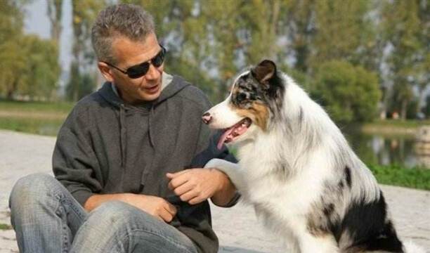 那种狗狗智商高好训练-马犬的忠诚有多可怕 那种狗狗智商高好训练-马犬的忠诚有多可怕
