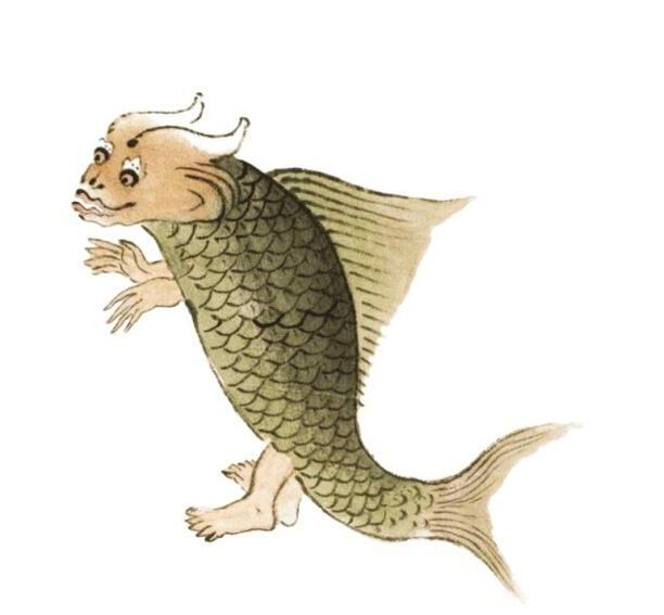 美人鱼和鲛人的区别-儒艮是不是已经灭绝 美人鱼和鲛人的区别-儒艮是不是已经灭绝