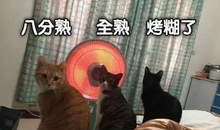 0度左右猫会冻死吗-猫右眼睛睁不开怎么办