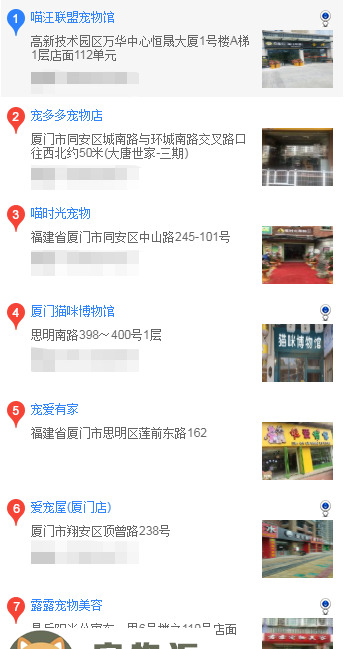 厦门什么地方买柴犬