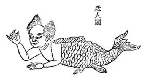 美人鱼和鲛人的区别-儒艮是不是已经灭绝 美人鱼和鲛人的区别-儒艮是不是已经灭绝