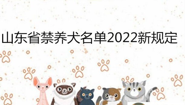 山东省禁养犬名单2023新规定-山东马犬好吗