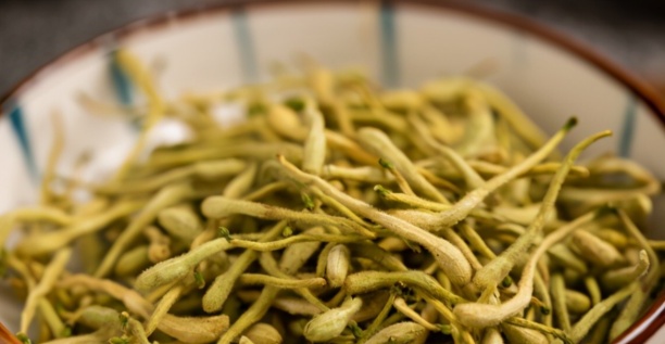 狗狗上火吃什么好?7种降火食物,建议收藏 狗狗上火吃什么好?7种降火食物,建议收藏