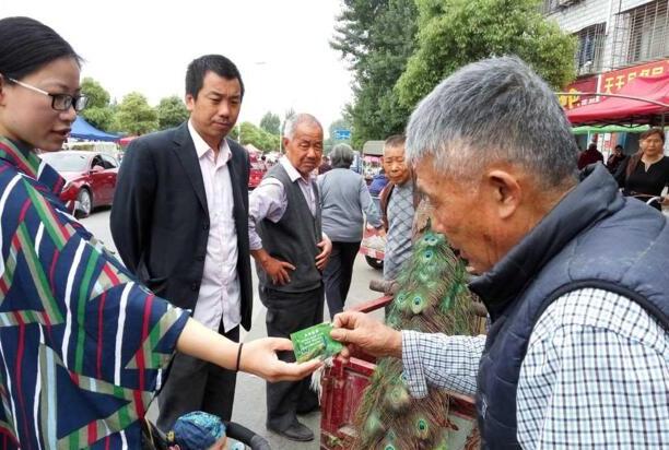 人工喂养蓝孔雀1500元一只,市民围观看稀奇但无人购买 人工喂养蓝孔雀1500元一只,市民围观看稀奇但无人购买