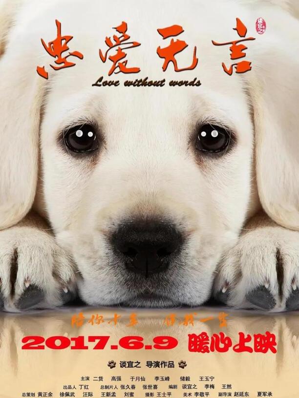有关狗的电影-十部必看的犬类电影 有关狗的电影-十部必看的犬类电影