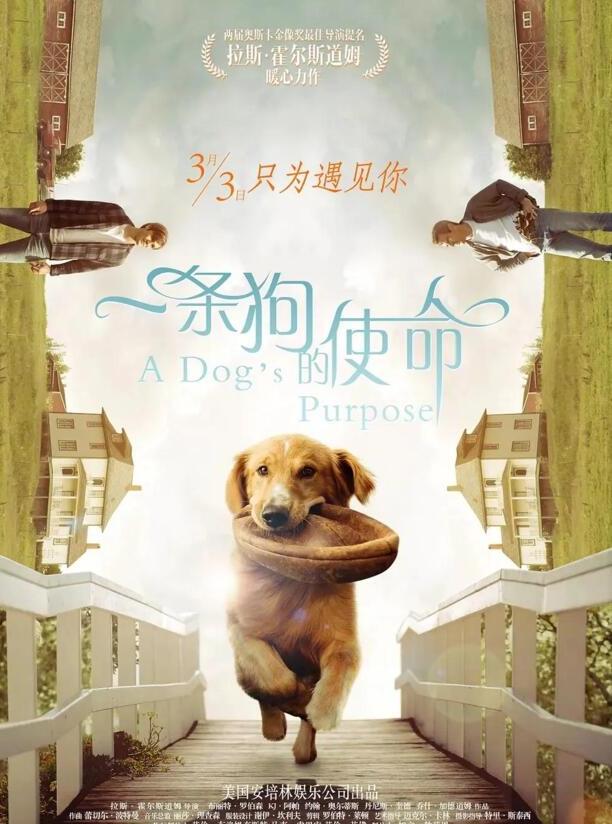 有关狗的电影-十部必看的犬类电影 有关狗的电影-十部必看的犬类电影