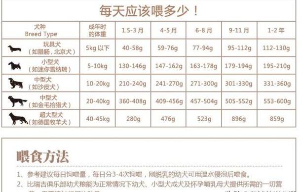 幼犬喂养的正确方法及注意事项