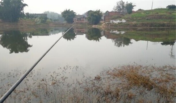 冬天鲫鱼钓深水还是浅水-冬天大板鲫深水还是浅水