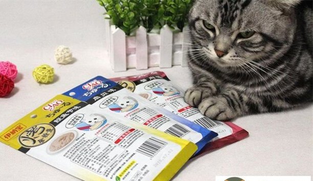 哪个牌子的猫条比较安全-富力鲜罐头幼猫可以用吗