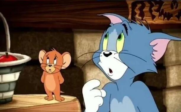 汤姆是什么品种的猫-tom猫是什么猫