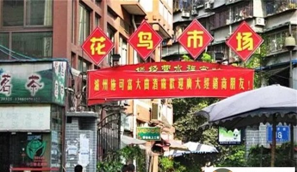 成都市最大的花鸟鱼虫市场在哪里-成都十大花卉批发市场