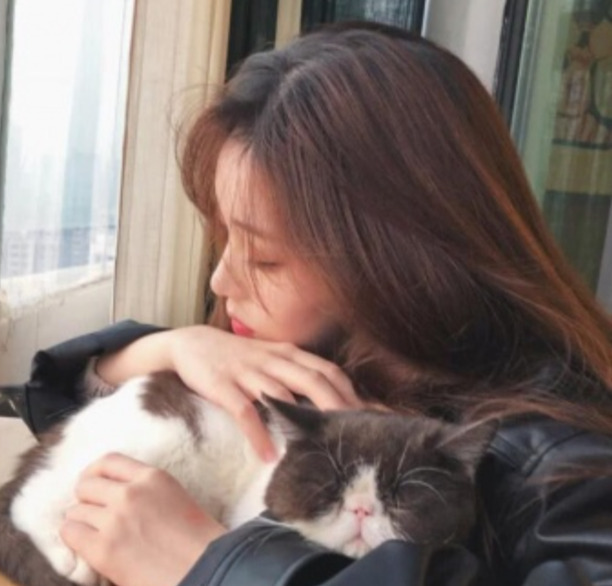 猫吃鱼会被刺卡到吗-猫被鱼刺卡住了怎么办