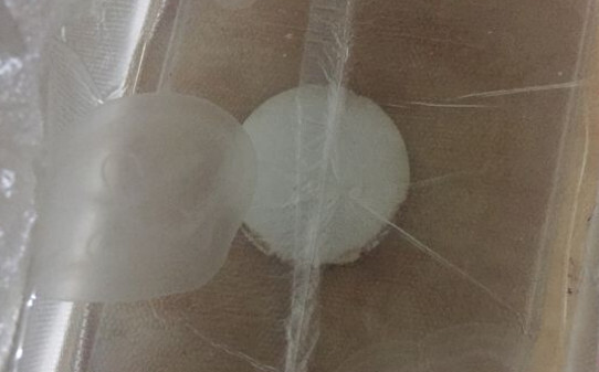 水母喜欢吃什么