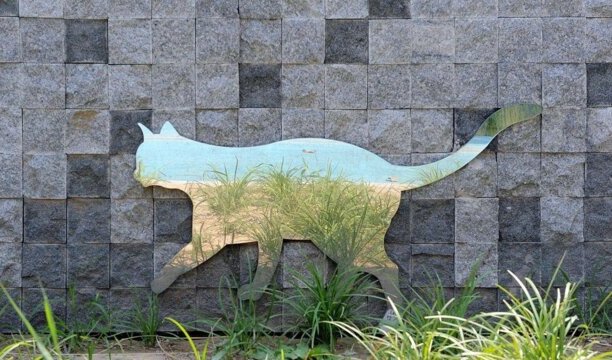 怎么分辨猫咪中毒-小猫不能吃的十种食物 怎么分辨猫咪中毒-小猫不能吃的十种食物