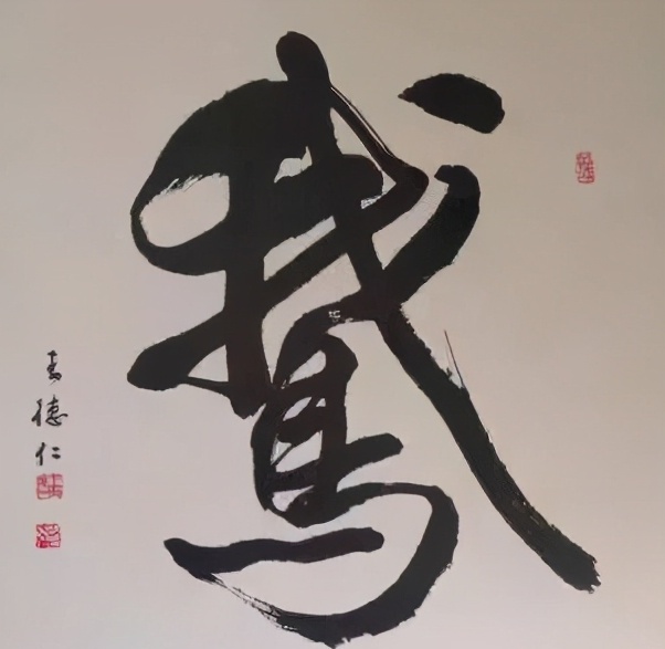 鹅能活多久-鹅的寿命最长多少年