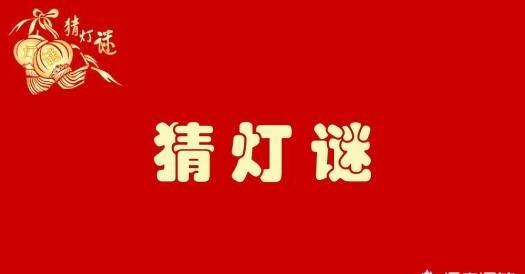 一头牛有多重-一只牛打一字谜底