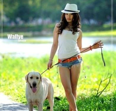 马尔济斯犬养公的好还是母的好-送女孩什么狗狗好