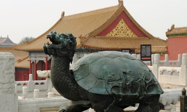 中华草龟寿命一般多少年-乌龟最长寿命是多少年
