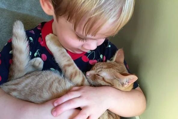养猫对孩子的巨大危害-家里有小孩能养猫吗