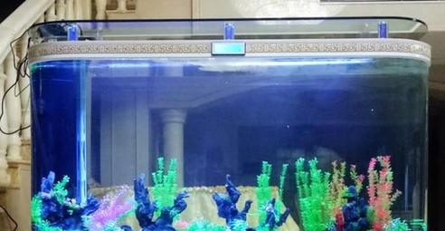 新手养鱼开缸及养水步骤