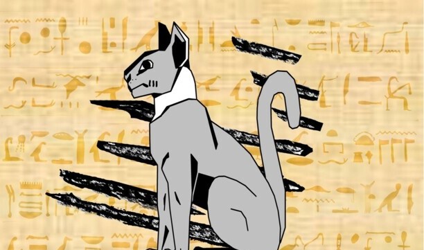 黑白猫是什么品种-黑白渐层猫是什么品种 黑白猫是什么品种-黑白渐层猫是什么品种