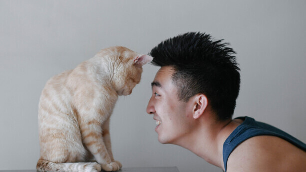 野猫蹭人腿绕来绕去的-人蹭腿什么意思