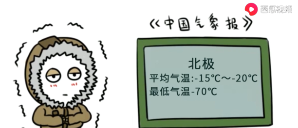 北极熊为什么不吃企鹅宝宝-为什么北极熊不吃鹅寓意