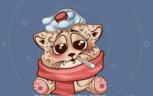 怎么判断猫腹部积水