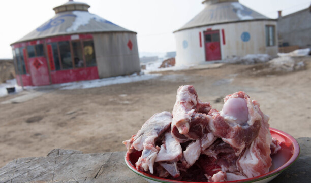 地笼捕鱼用什么饵料最好-地笼是怎么捕鱼的