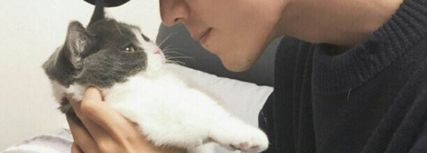 肖战养的猫什么品种