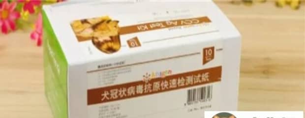 ccv是什么病毒-猫ccv是什么