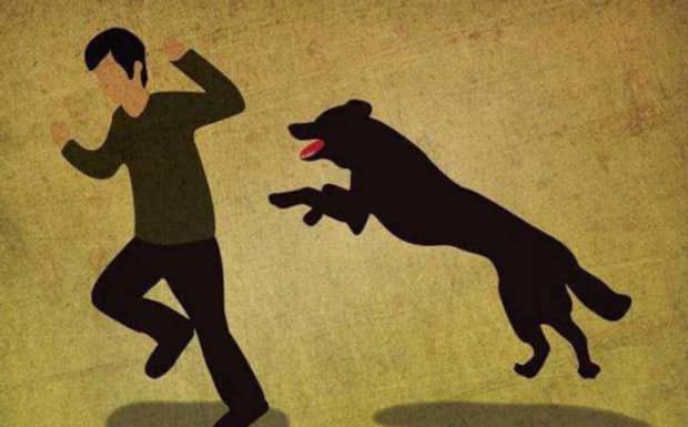 狗携带狂犬病毒大概会在多少天死亡
