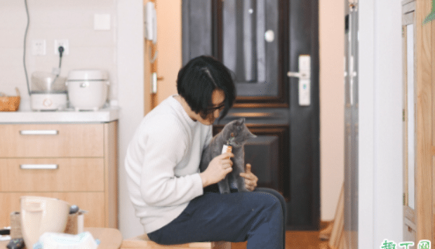  猫不喜欢吃营养膏怎么办