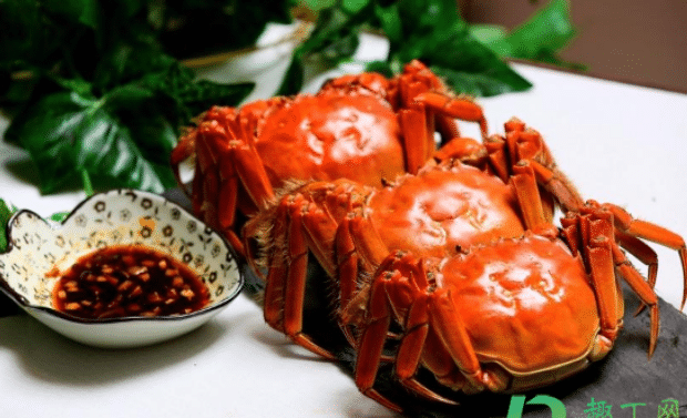 蒸螃蟹没有生姜用什么代替