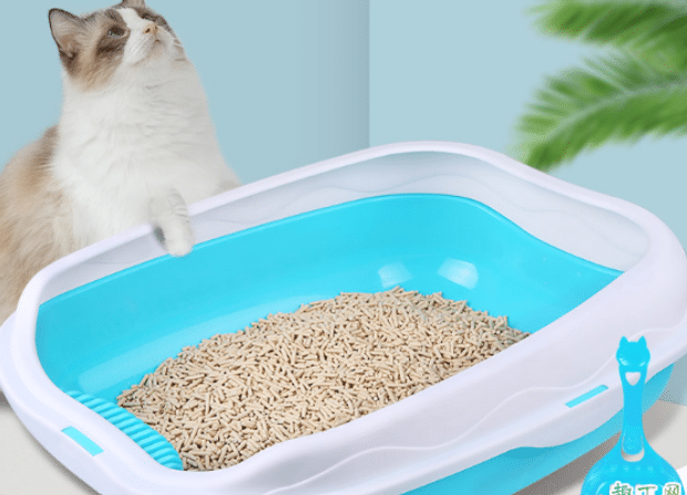 猫砂盆使用时需注意哪些事项 猫砂盆使用时需注意哪些事项