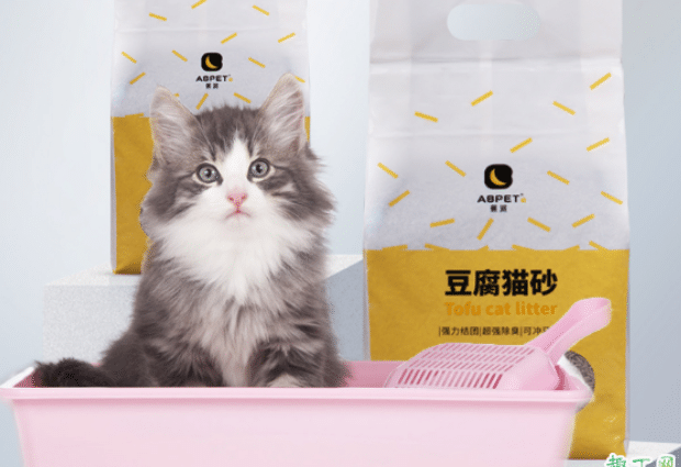 猫砂要不要定期更换