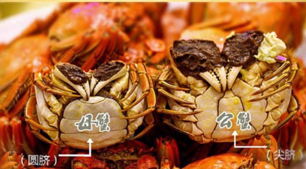 什么时间吃螃蟹蟹黄多