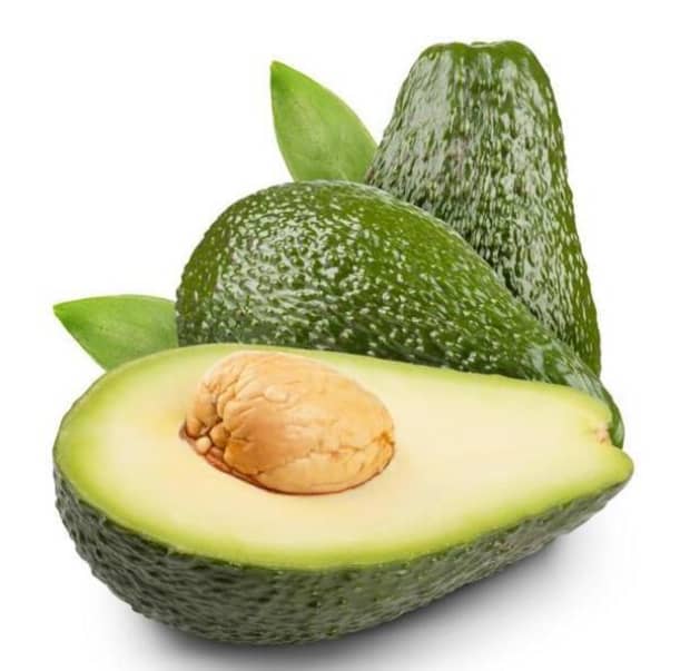 狗狗不能吃的食物有哪些 狗狗不能吃的食物有哪些