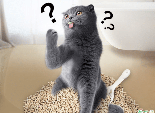 猫砂长毛了还可以用不
