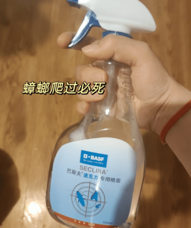 跳蚤粉可以杀死蟑螂吗