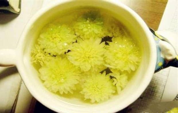 狗狗眼屎多怎么办
