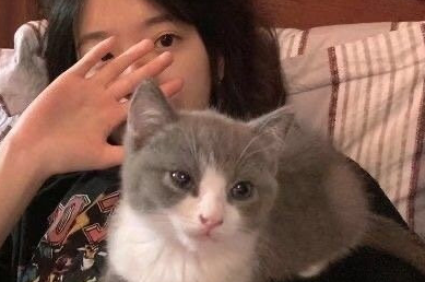 女生把头像换成猫是啥意思